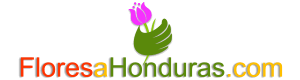 floresahonduras.com